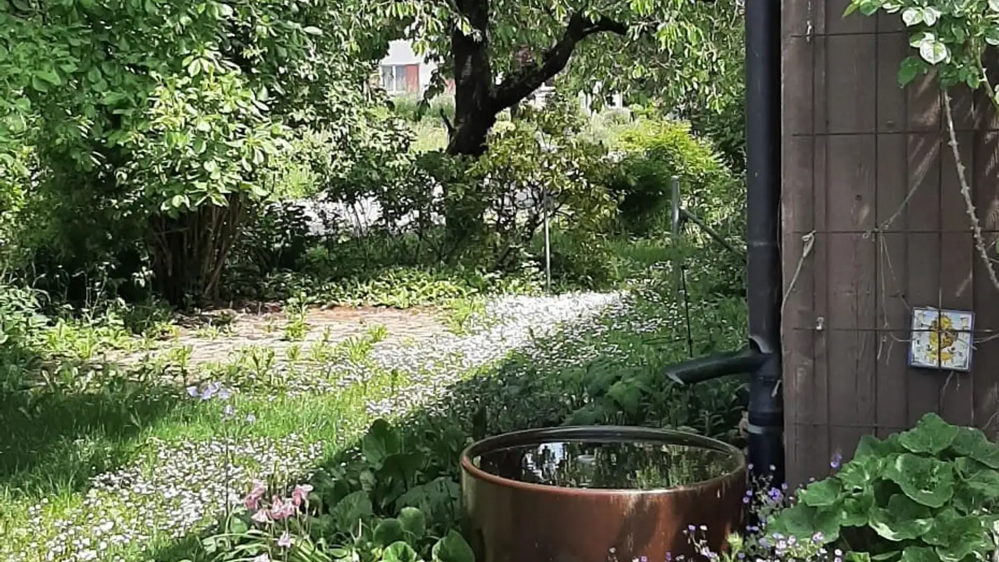 Apartment for rent - 8214 Gächlingen - Photo 2