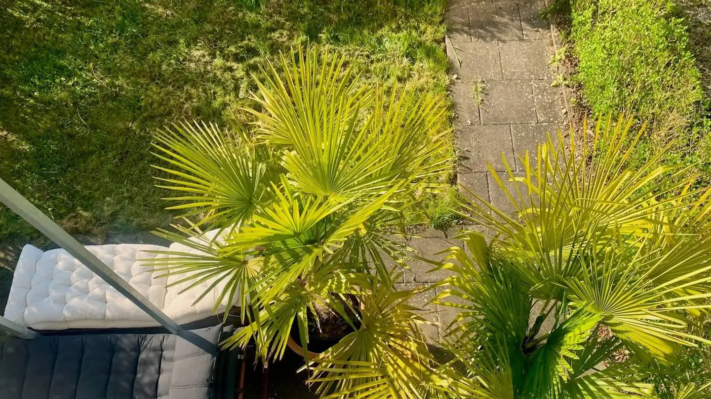 Row house for sale - Schwellistrasse, 8450 Andelfingen - Photo 2