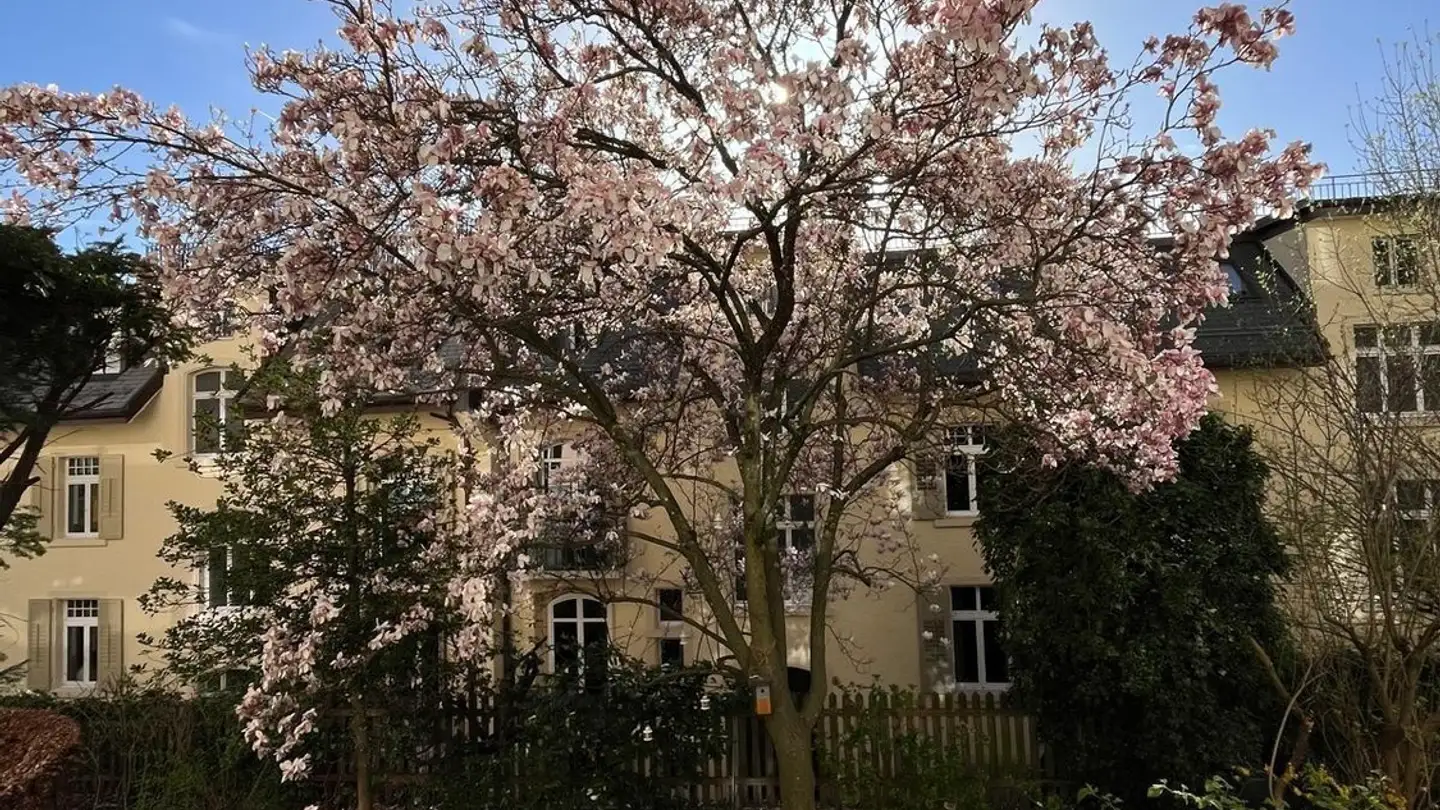 Stanza singola in affitto - Sonneggstrasse, 8006 Zürich - Foto 3