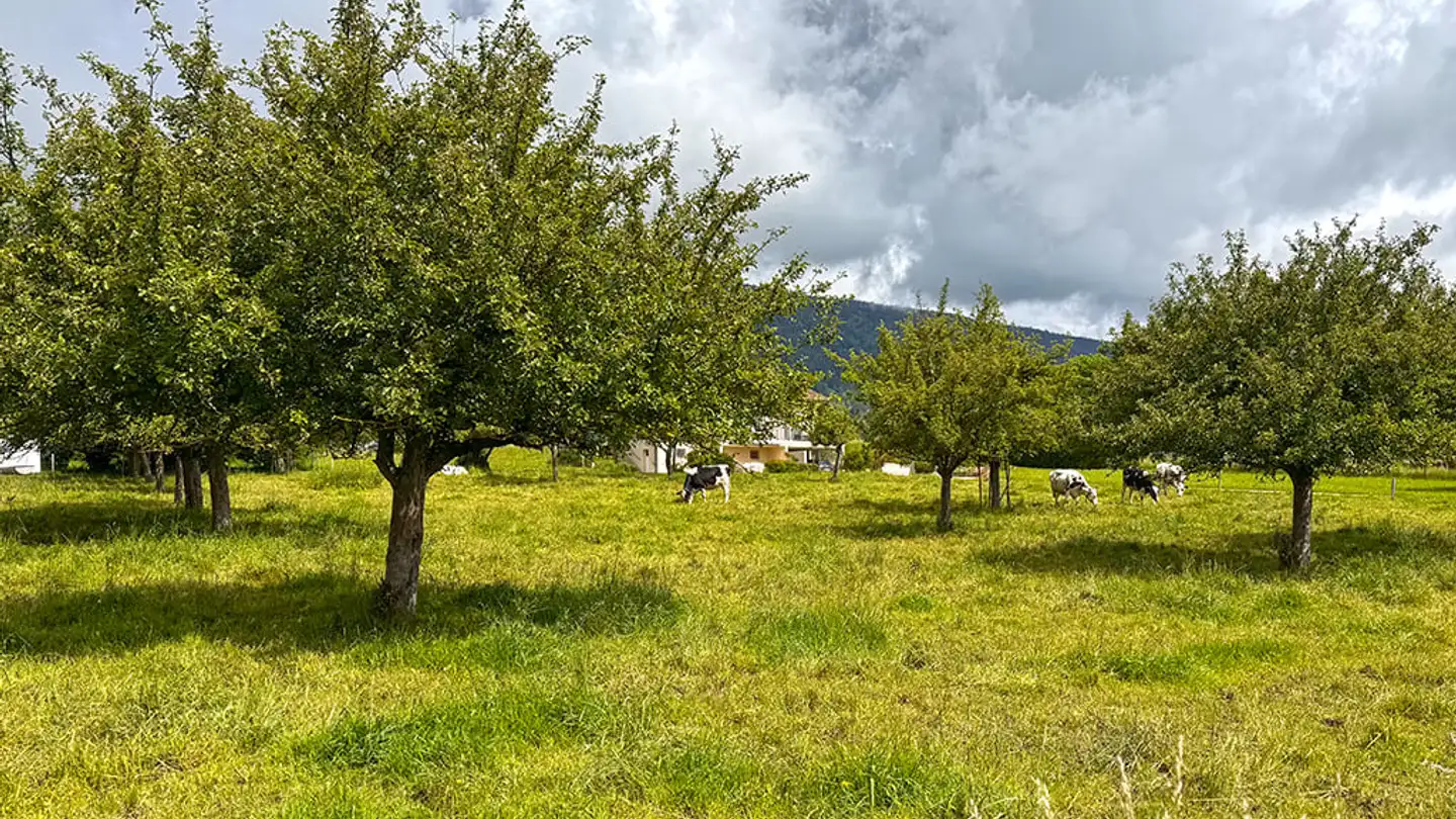 Casa singola in vendita - 1145 Bière