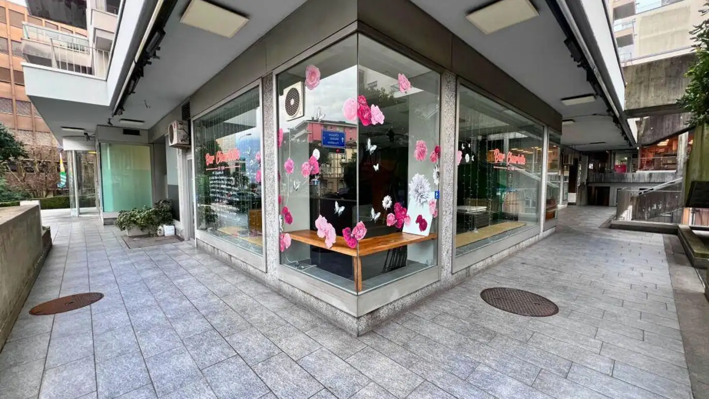 Office space for rent - Via Giuseppe Cattori 5, 6900 Paradiso - Photo 2