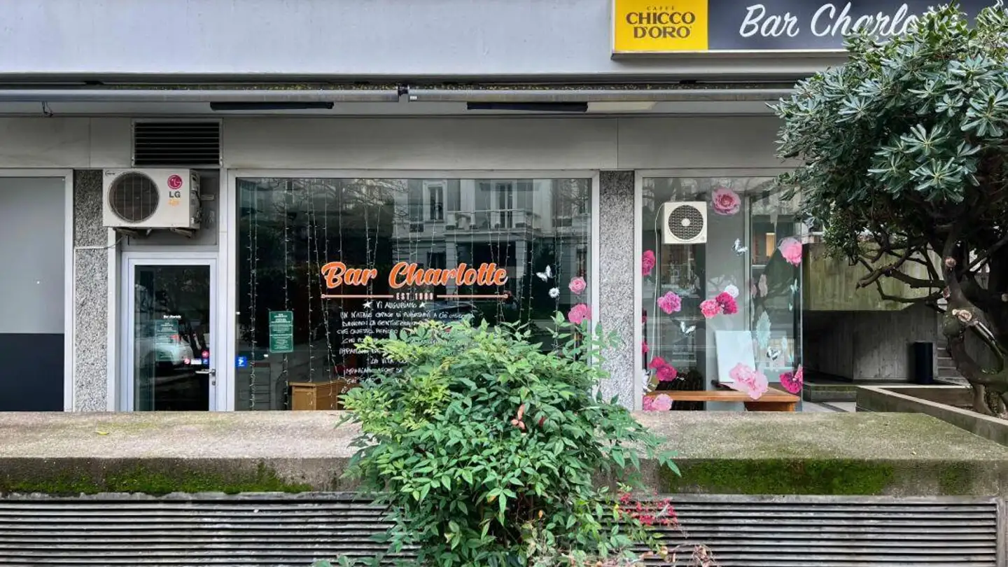 Office space for rent - Via Giuseppe Cattori 5, 6900 Paradiso - Photo 3