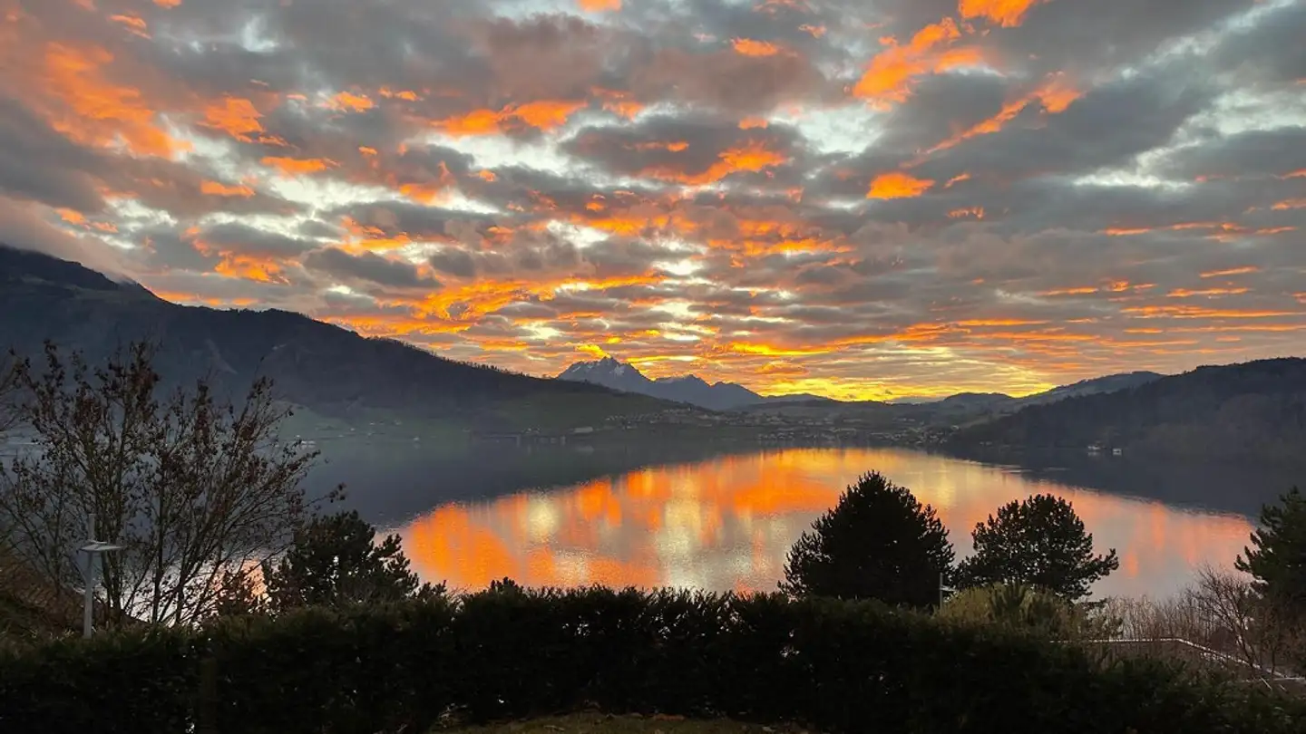 Wohnung mieten - Hörndlirain, 6318 Walchwil - Foto 2