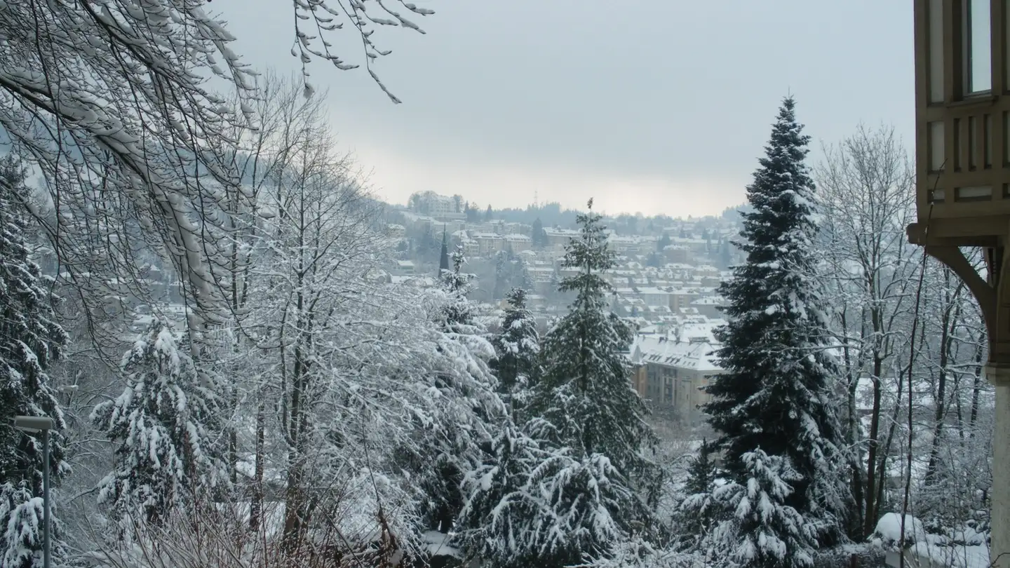 Appartamento in affitto - Stauffacherstrasse 2, 9000 St. Gallen - Foto 4