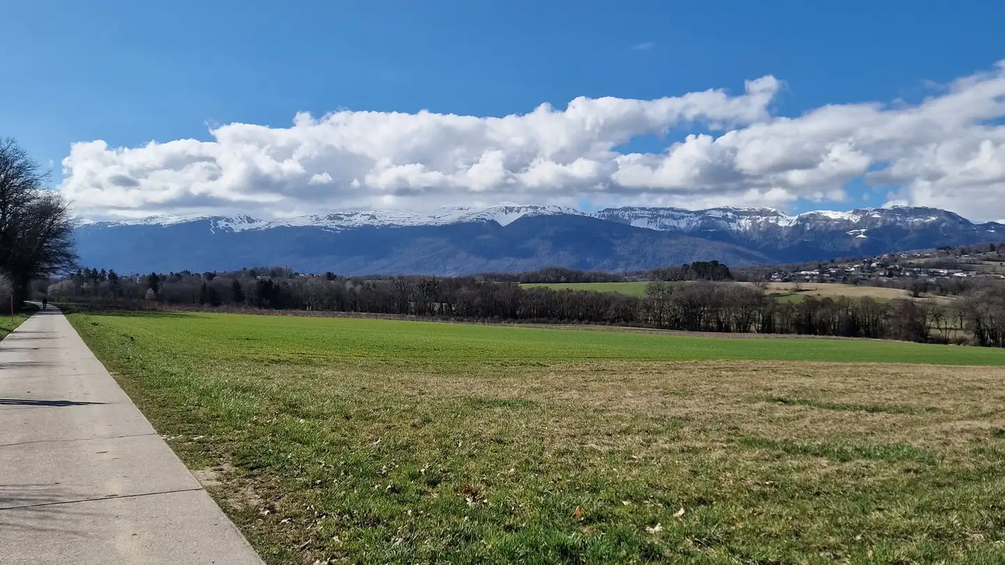 Villa for sale - 1290 Chavannes-des-Bois - Photo 2