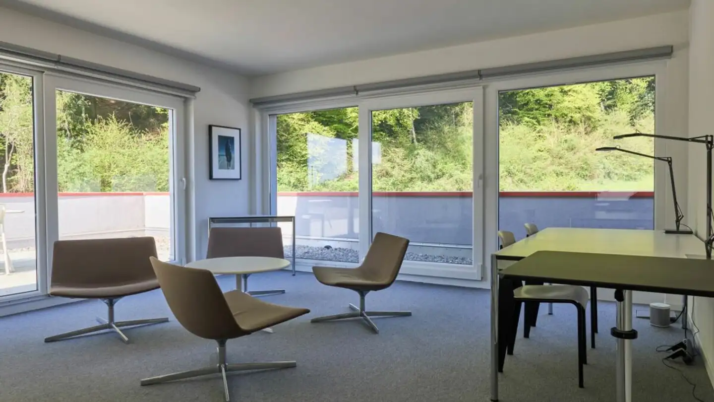 Bürofläche kaufen - Route Du Vergnolet, 1070 Puidoux - Foto 2