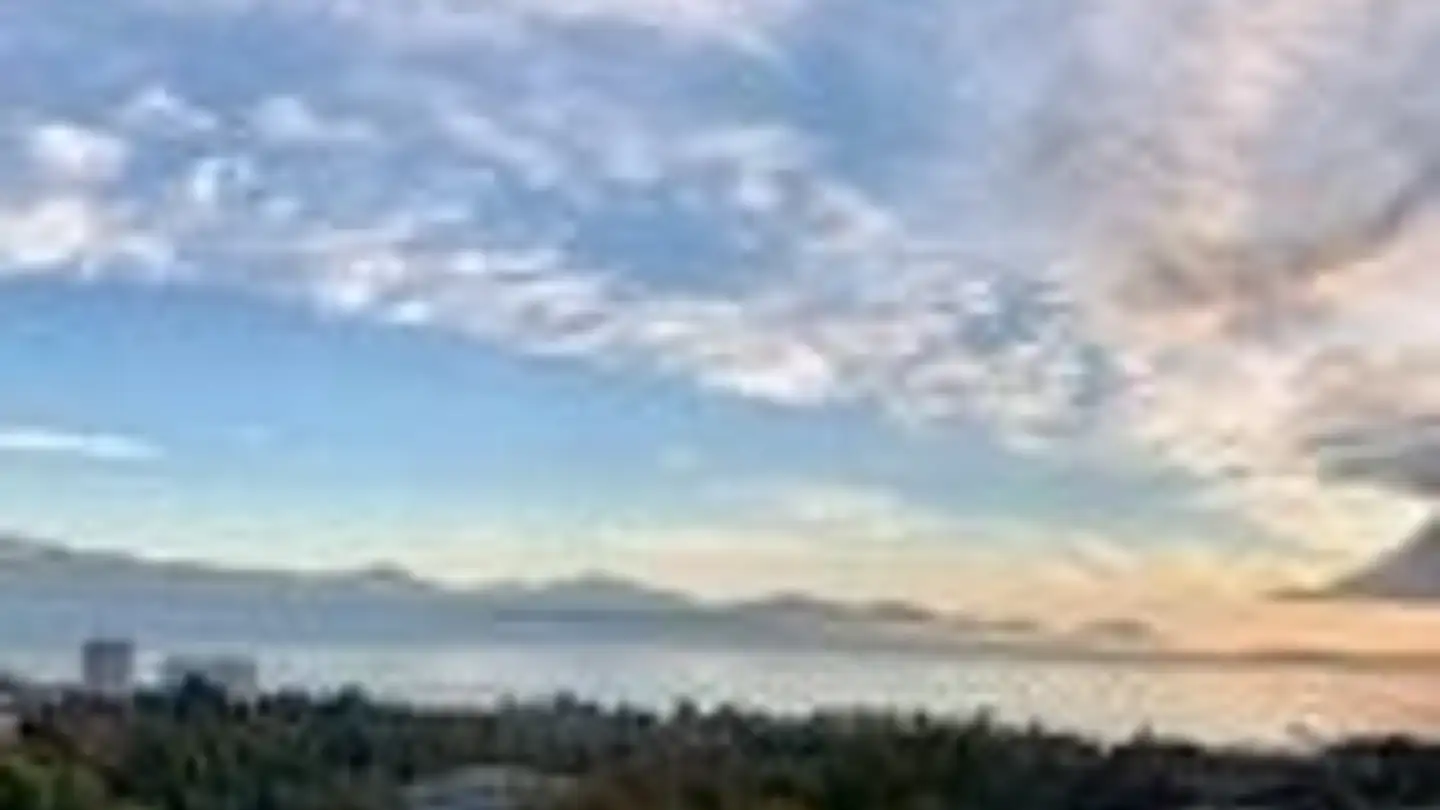 Wohnung mieten - Chemin Du Martinet 28, 1007 Lausanne