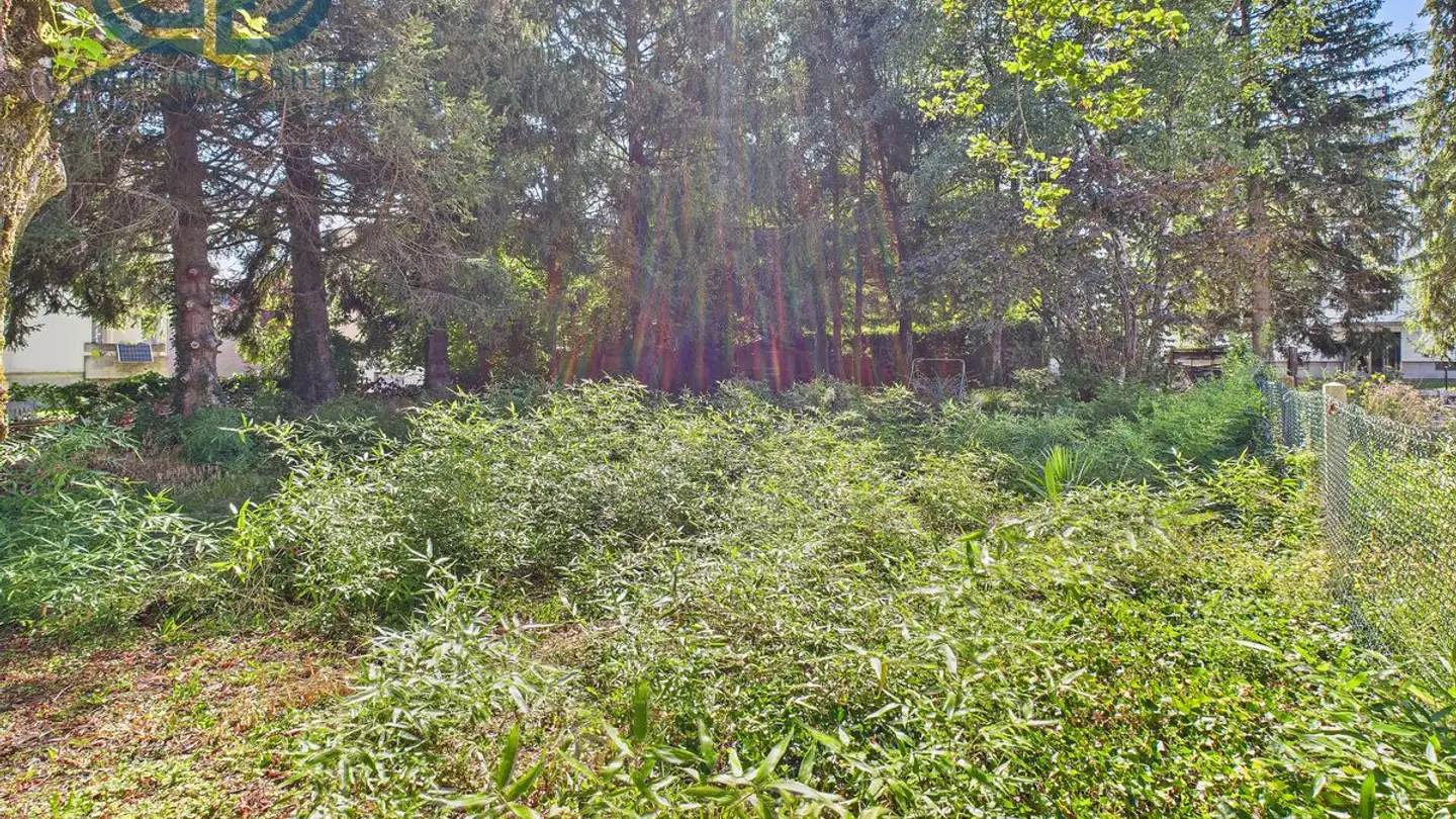 Constructible plot for sale - Rue Du Champ Hulay 42, 2854 Bassecourt - Photo 4