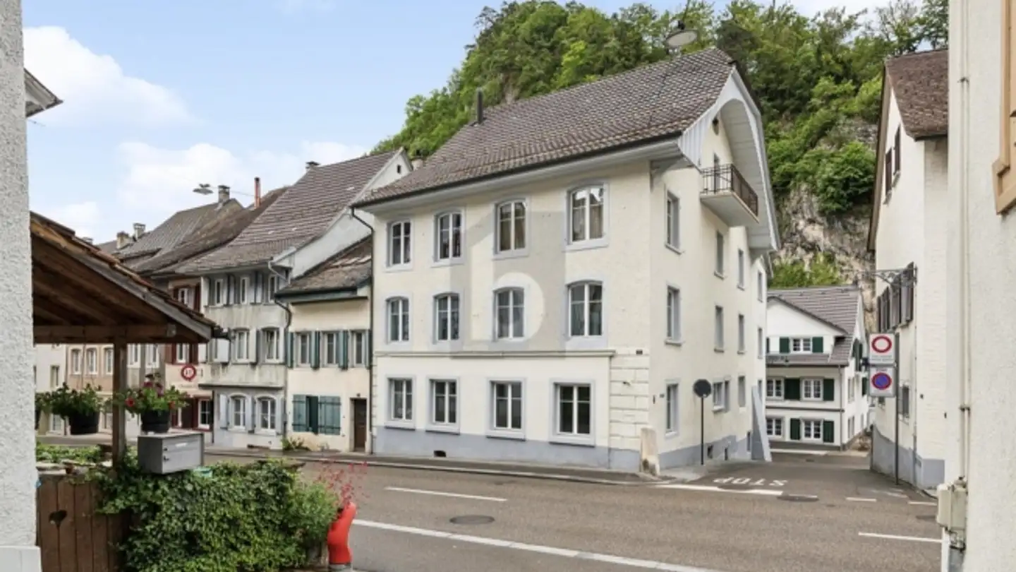 Castle for sale - 4437 Waldenburg