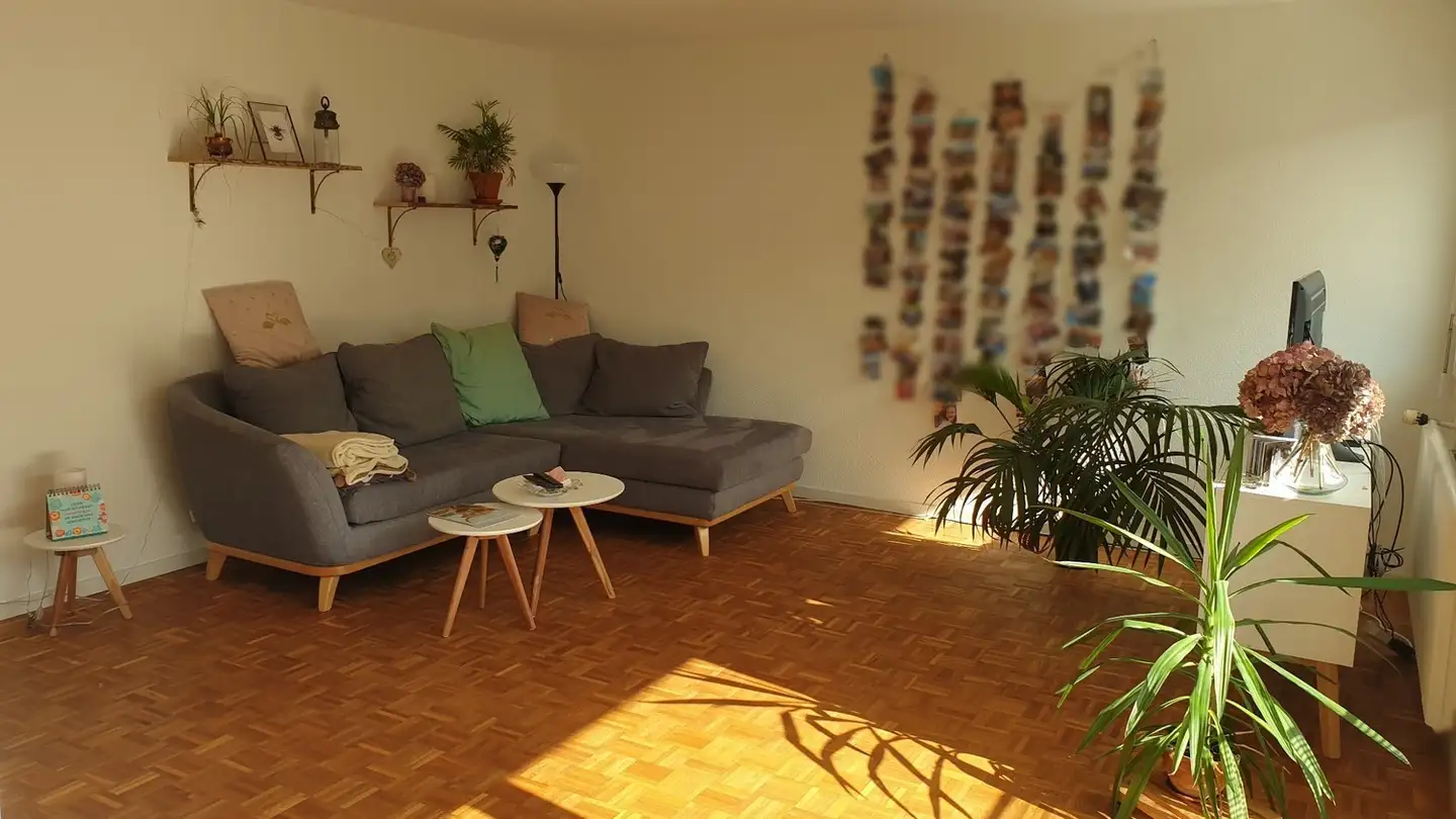Appartamento in affitto - 3400 Burgdorf