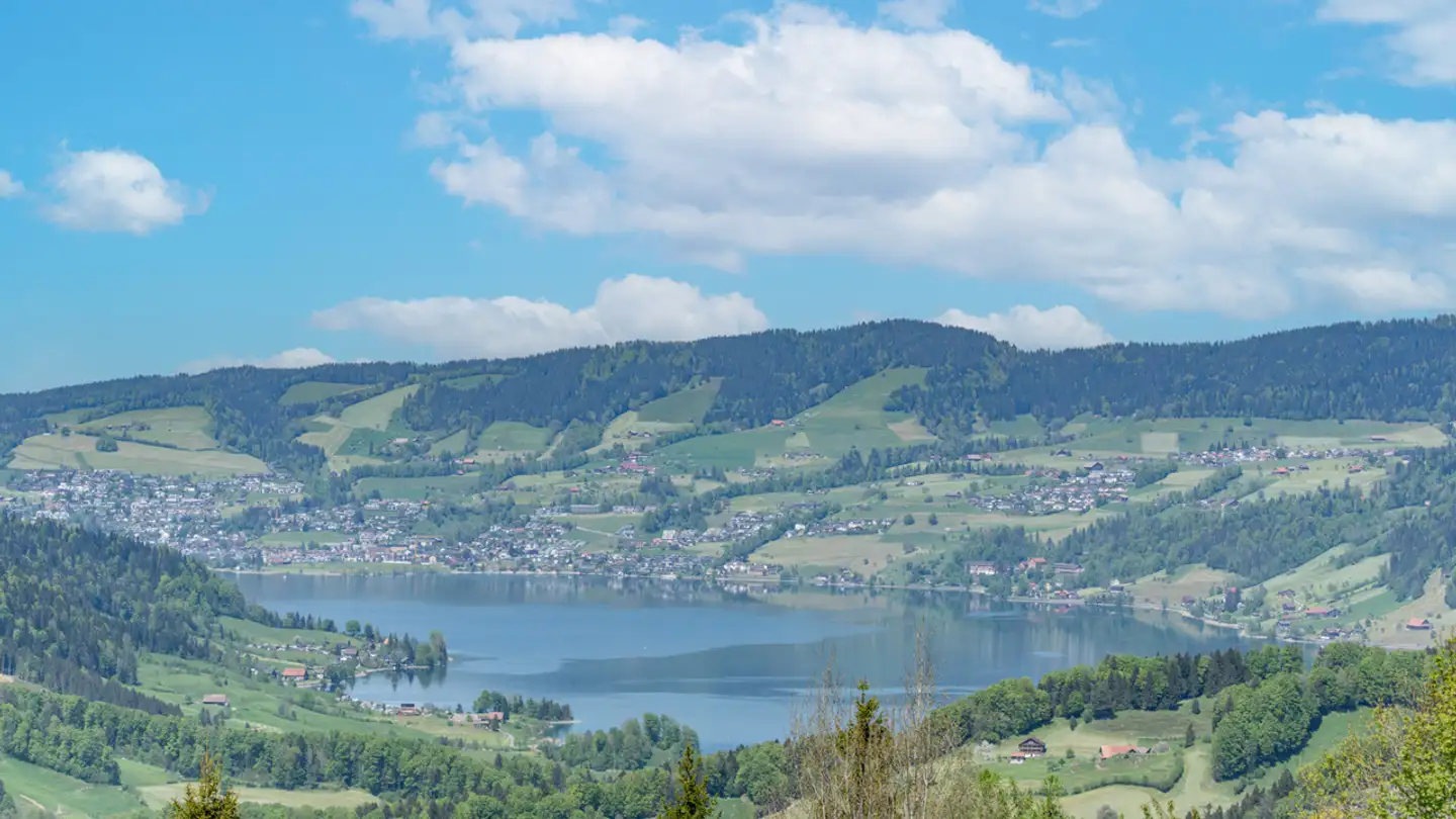 Single house for sale - 6417 Sattel