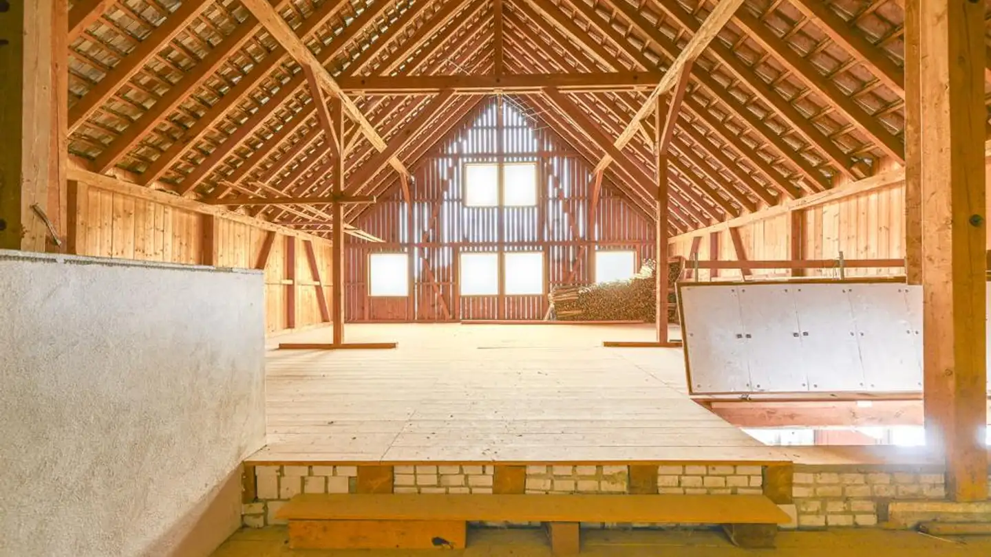 Fattoria in vendita - Bergwiesenstrasse 1, 8263 Buch SH - Photo 4