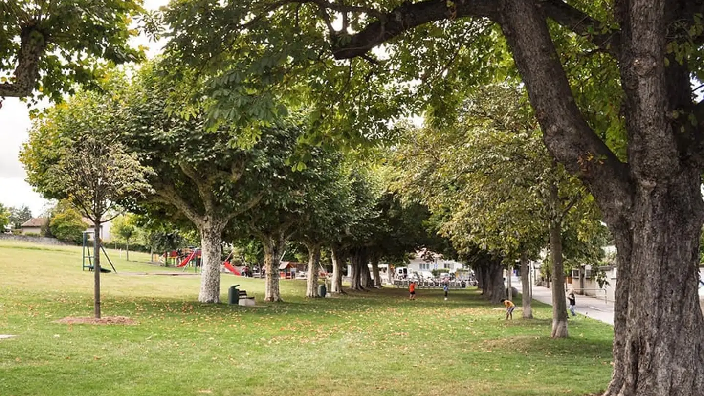 Wohnung kaufen - 1228 Plan-les-Ouates