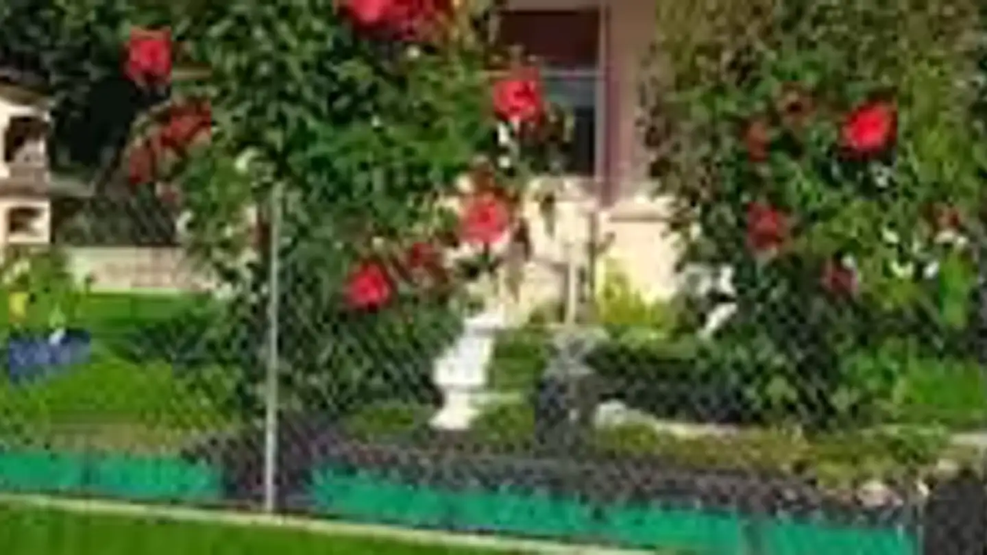 Casa singola in affitto - 5033 Buchs AG