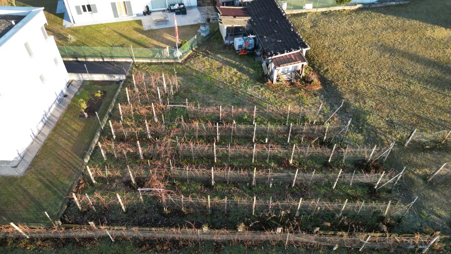 Terrain constructible à vendre - 6850 Mendrisio - Photo 4