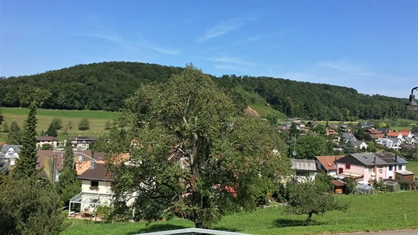 Single house for sale - 4422 Arisdorf