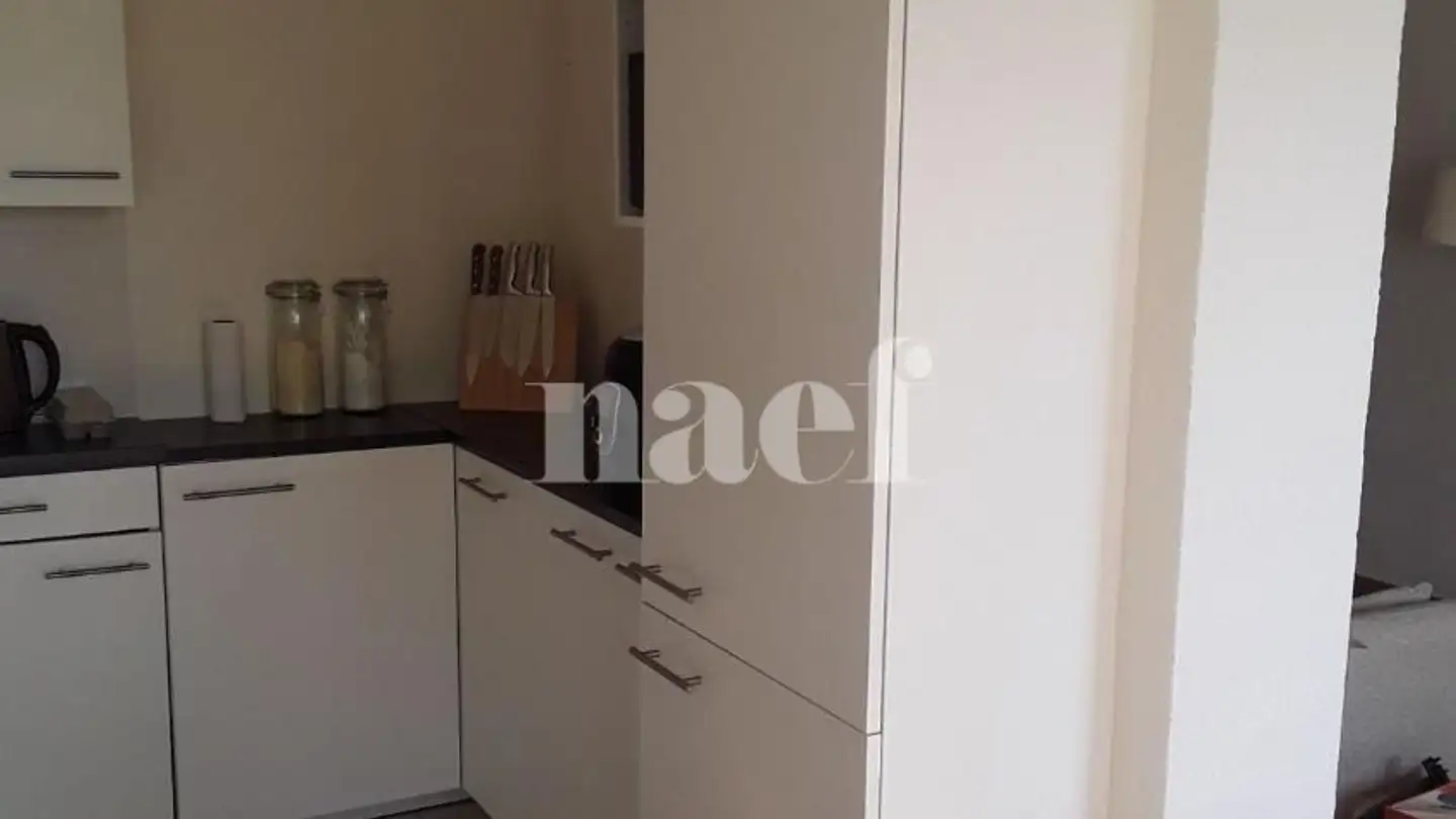 Appartamento in affitto - Chemin Des Palettes 35, 1212 Grand-Lancy
