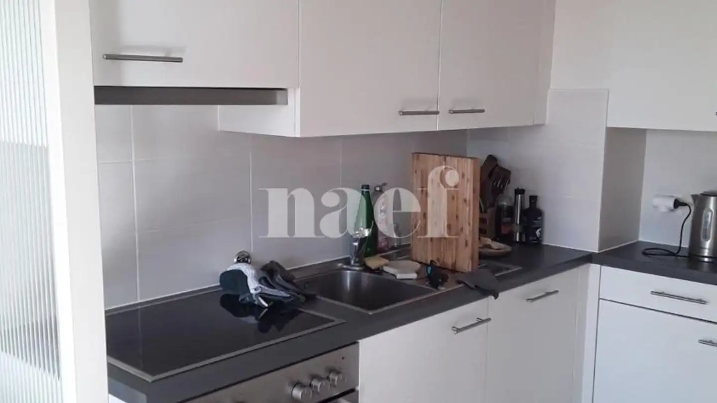 Appartamento in affitto - Chemin Des Palettes 35, 1212 Grand-Lancy - Foto 3