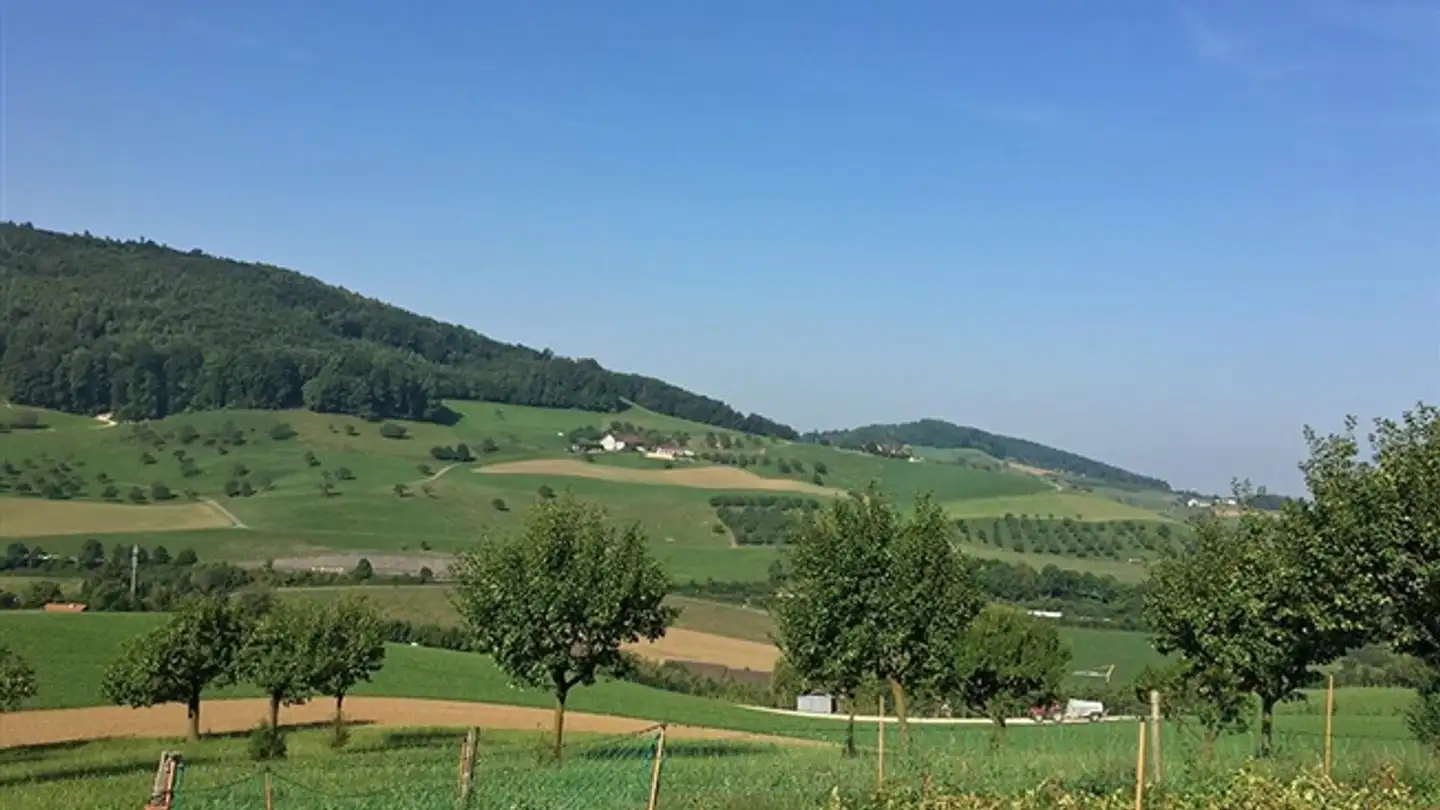 Casa singola in vendita - 4422 Arisdorf - Photo 2