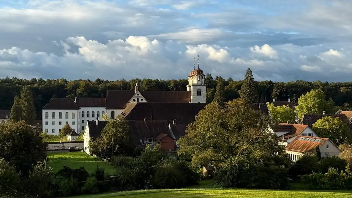 Apartment for rent - Alter Schulweg 15, 8462 Rheinau - Photo 3