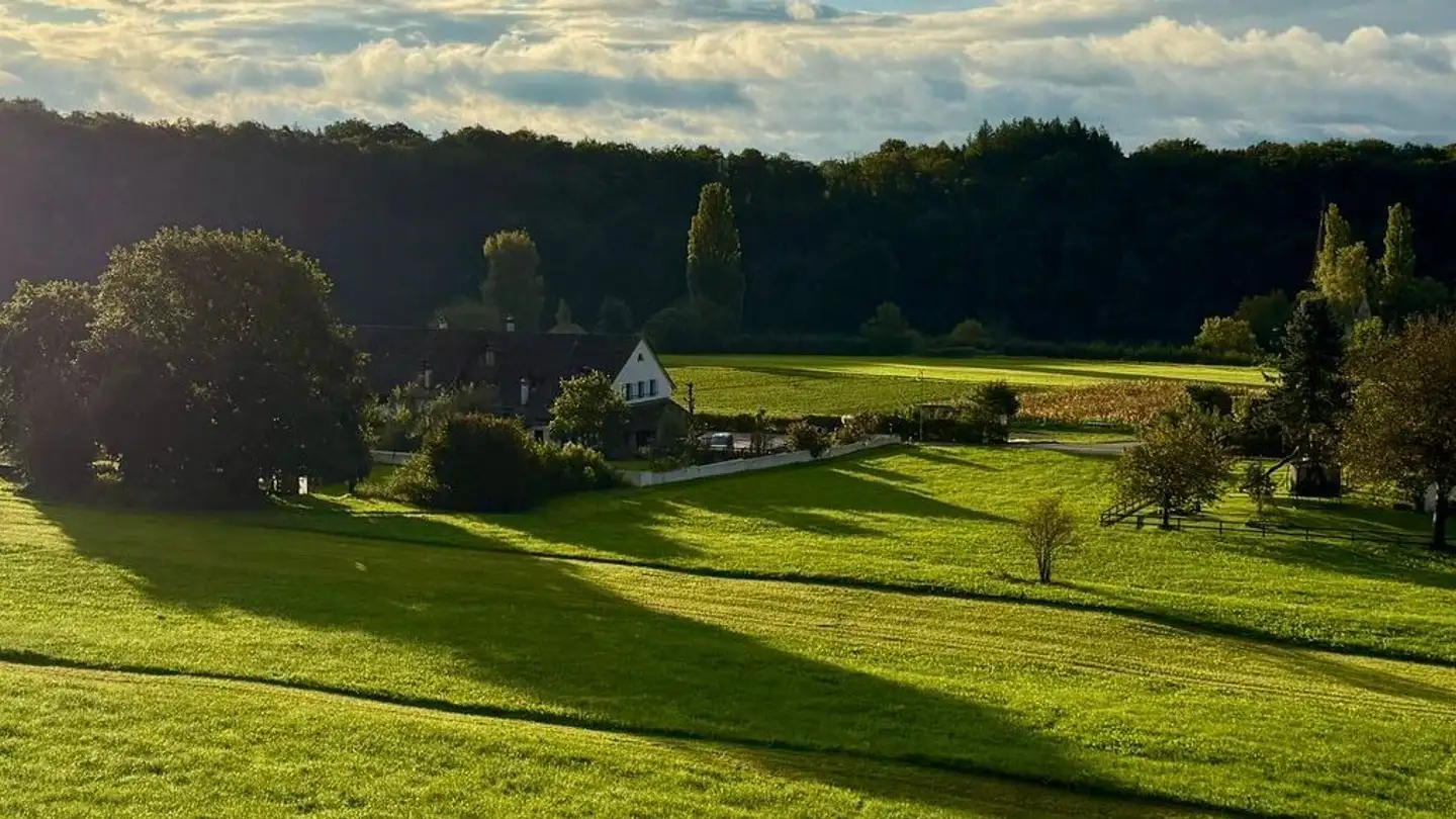 Apartment for rent - Alter Schulweg 15, 8462 Rheinau - Photo 4