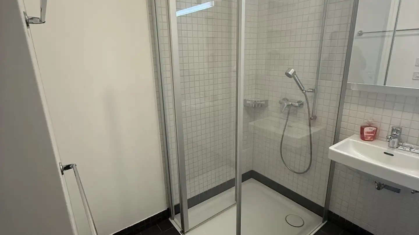 Single room for rent - Badenerstrasse 94, 8952 Schlieren - Photo 3
