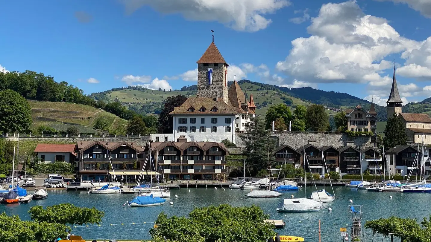 Wohnung mieten - Schachenstrasse 24, 3700 Spiez - Foto 4