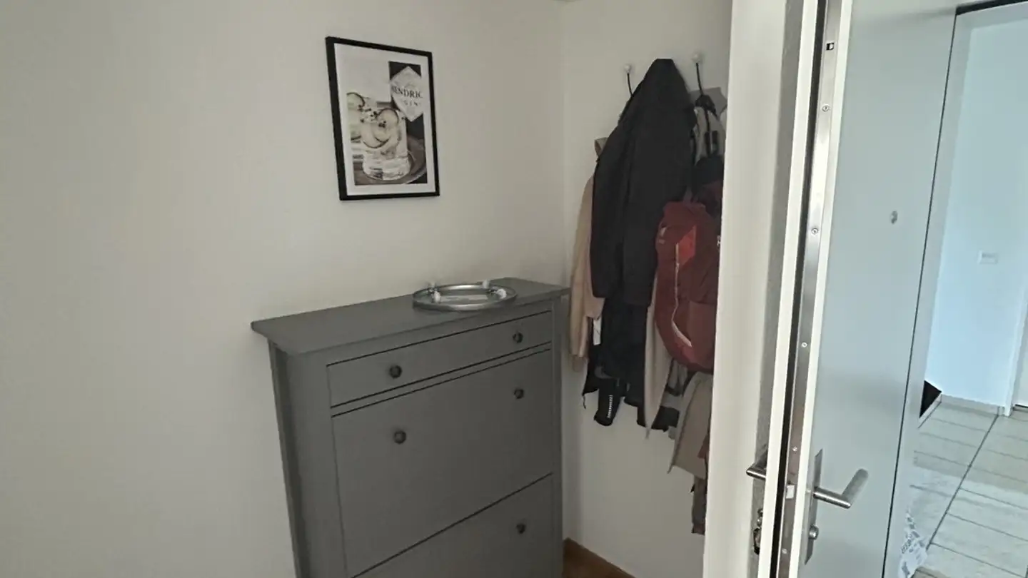 Apartment for rent - Alter Zürichweg 10c, 8952 Schlieren - Photo 3