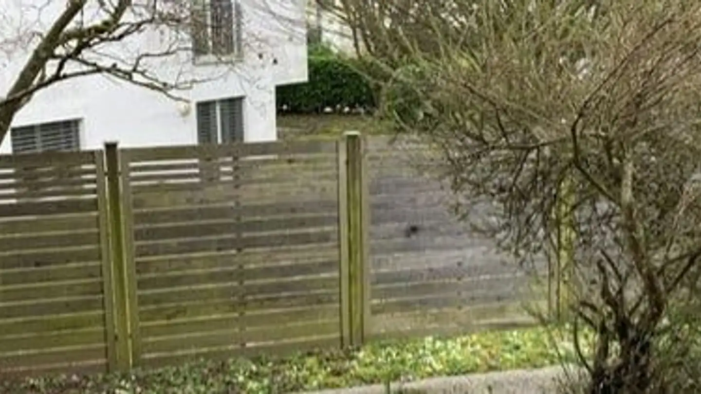 Apartment for rent - Zelgwiesenstrasse 3, 8046 Zürich