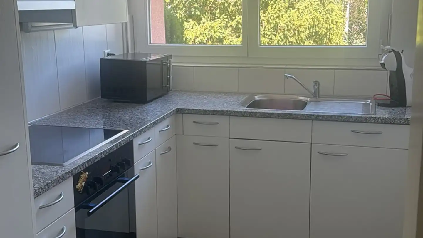 Chambre à louer - Hofhölzliweg 1, 8046 Zürich - Photo 2