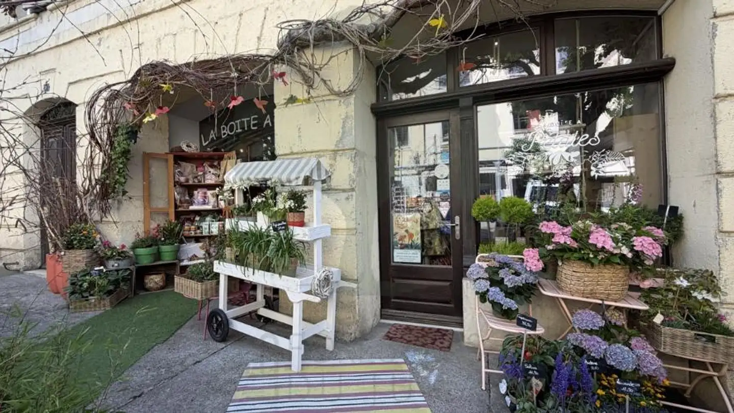Gewerbe kaufen - Rue des Malvoisins 9, 2900 Porrentruy