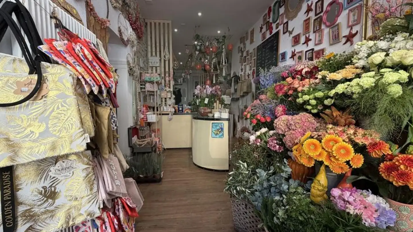 Gewerbe kaufen - Rue des Malvoisins 9, 2900 Porrentruy - Foto 2