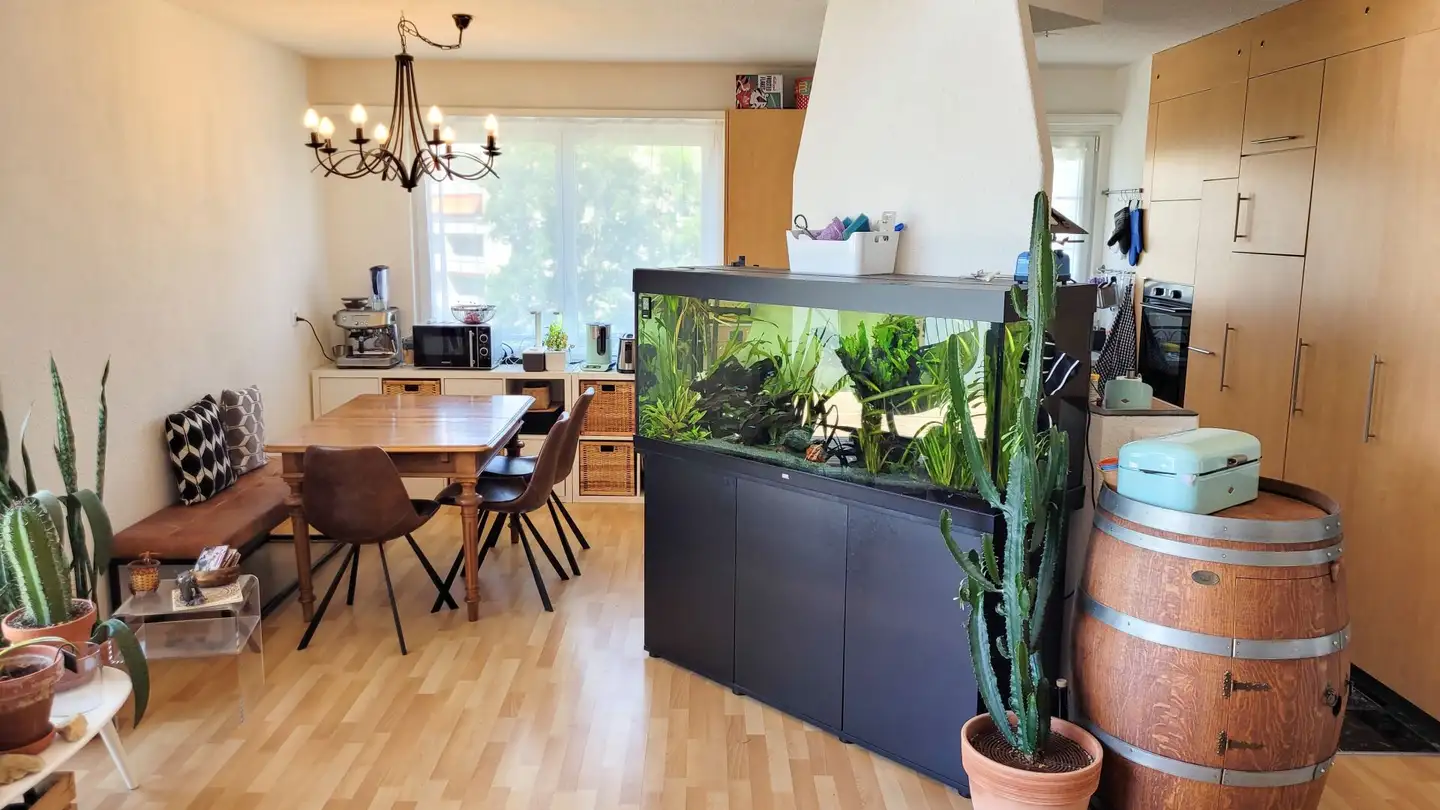 Attique à louer - Schöneggstrasse 53, 8953 Dietikon - Photo 3