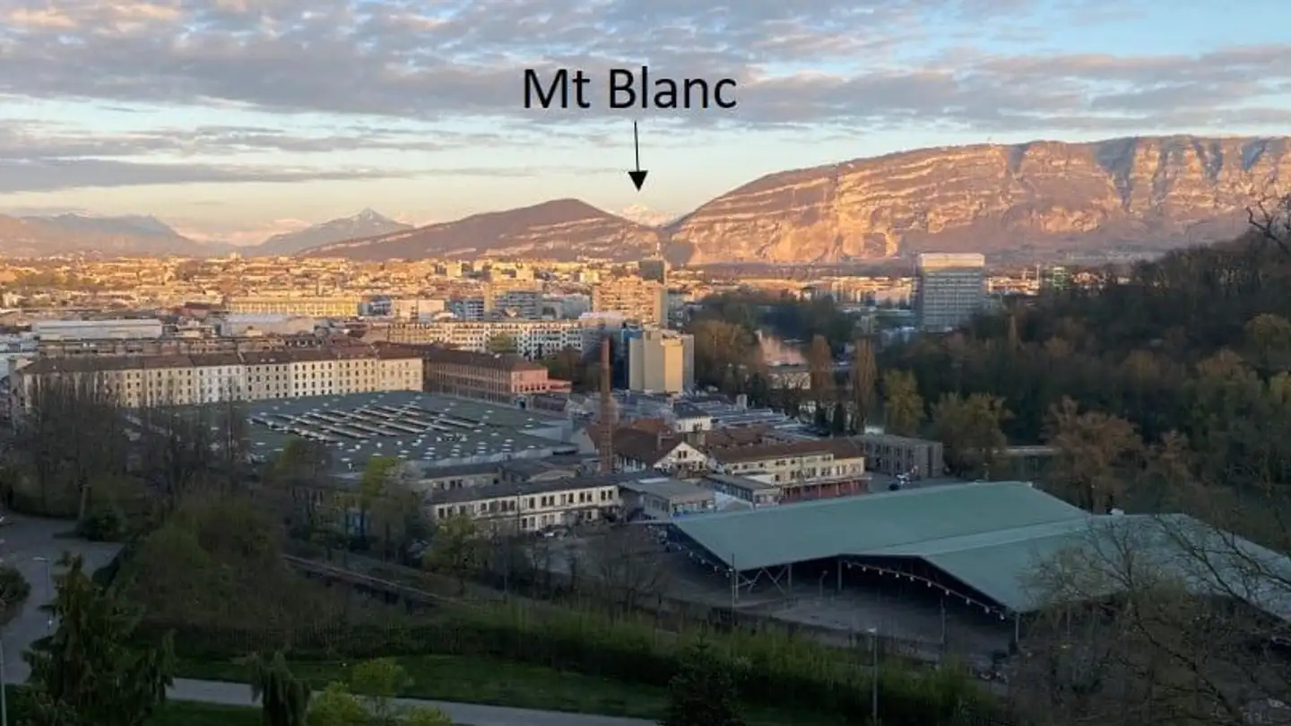 Appartement à vendre - Avenue Du Devin-Du-Village 21, 1203 Genève - Photo 3