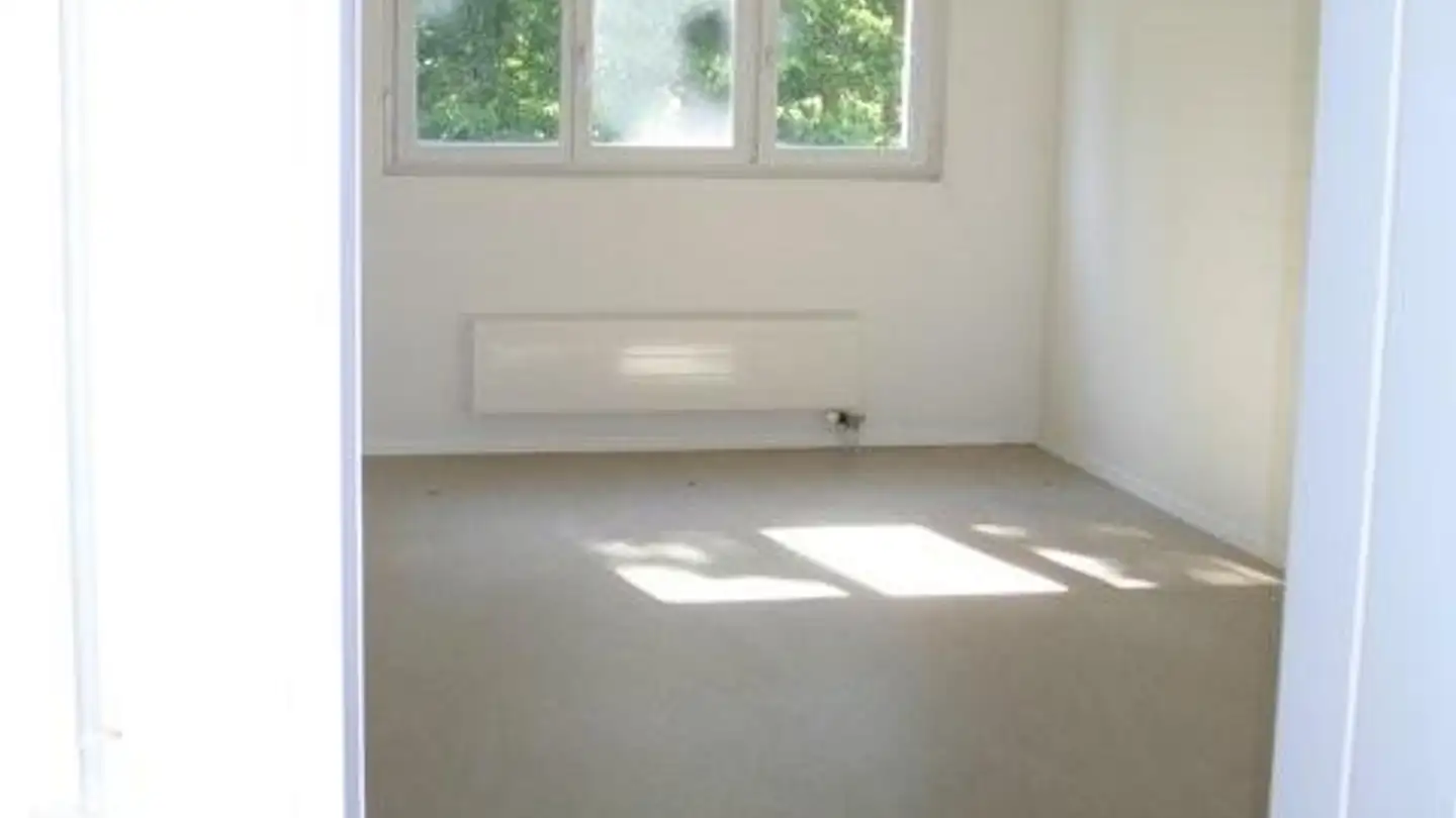 Commerciale in affitto - Bützenenweg 22, 4450 Sissach - Photo 2