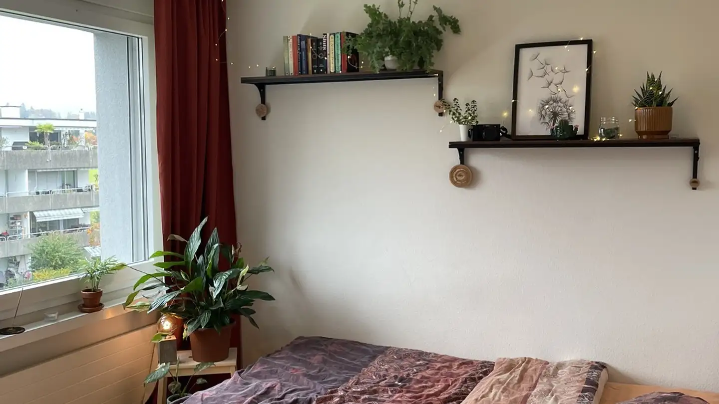 Chambre à louer - 8610 Uster