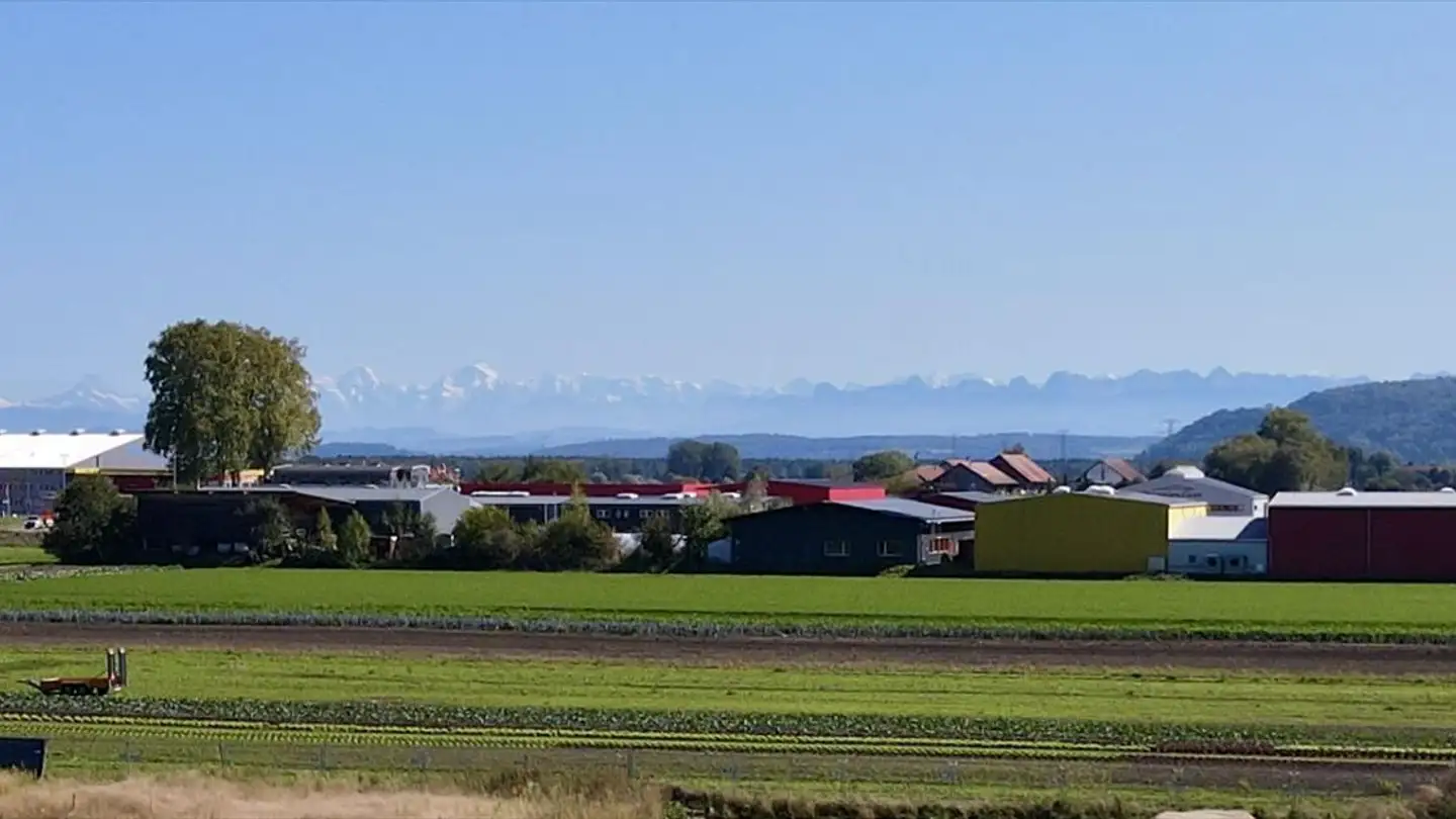 Appartement à vendre - Seestrasse 19, 3236 Gampelen - Photo 4