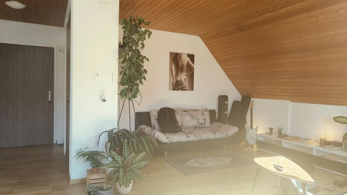 Apartment for rent - 9000 St. Gallen - Photo 4