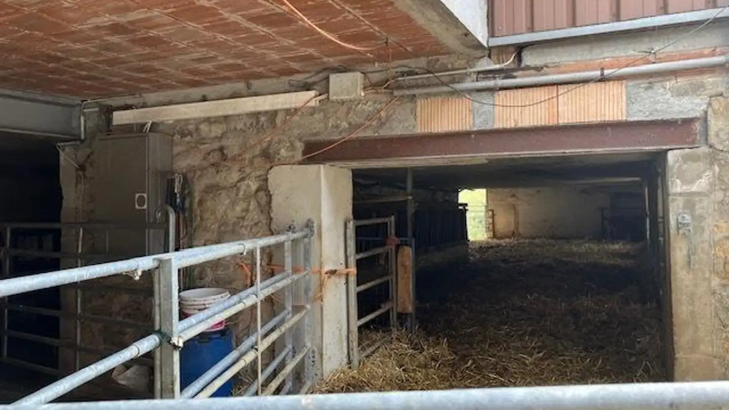 Mischgenutztes Gebäude kaufen - Chemin Sur-Granges 8, 1308 La Chaux (Cossonay) - Foto 4