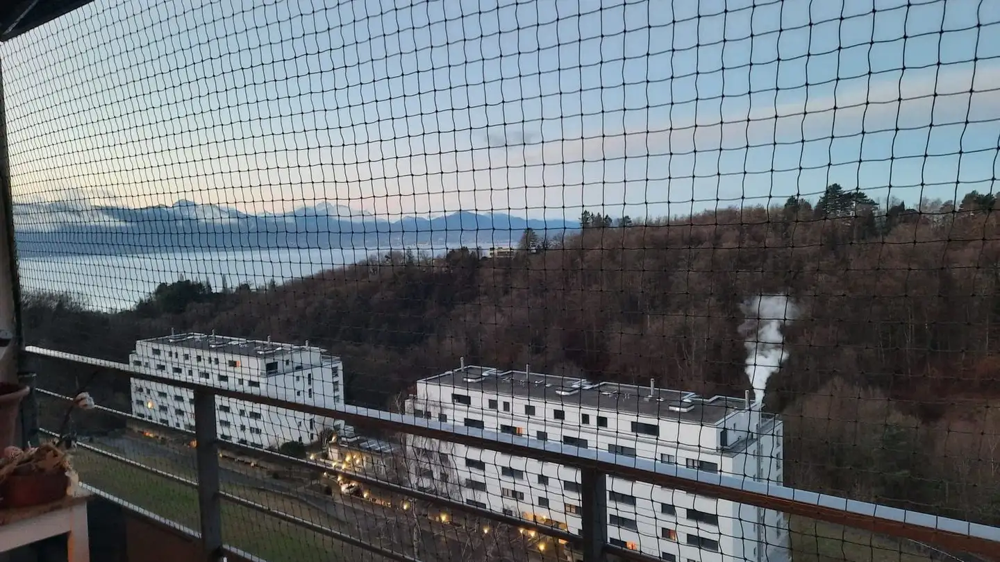 Wohnung mieten - Route du Burenoz 35, 1092 Belmont-sur-Lausanne