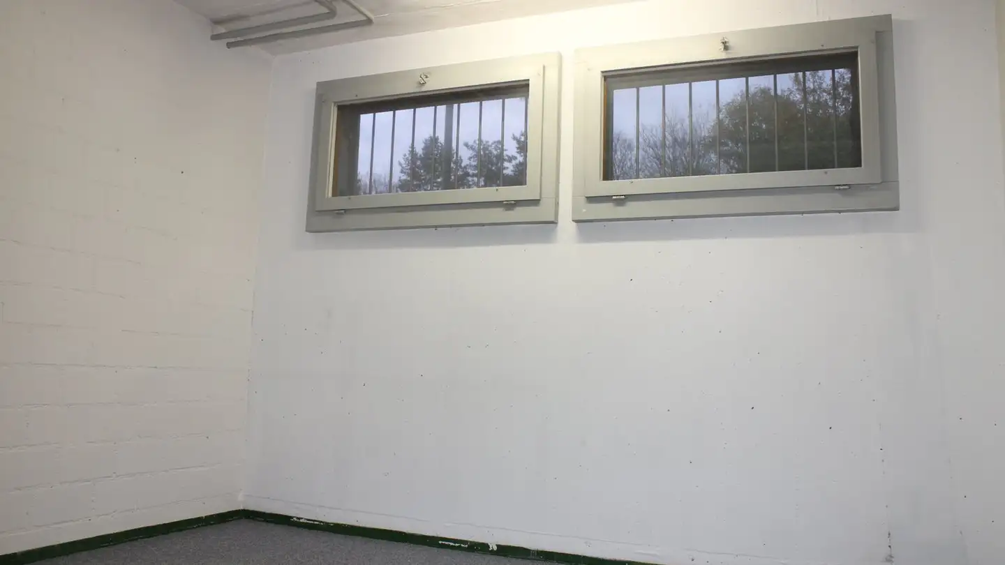 Cellar partition for rent - Dorfstrasse 155, 8424 Embrach