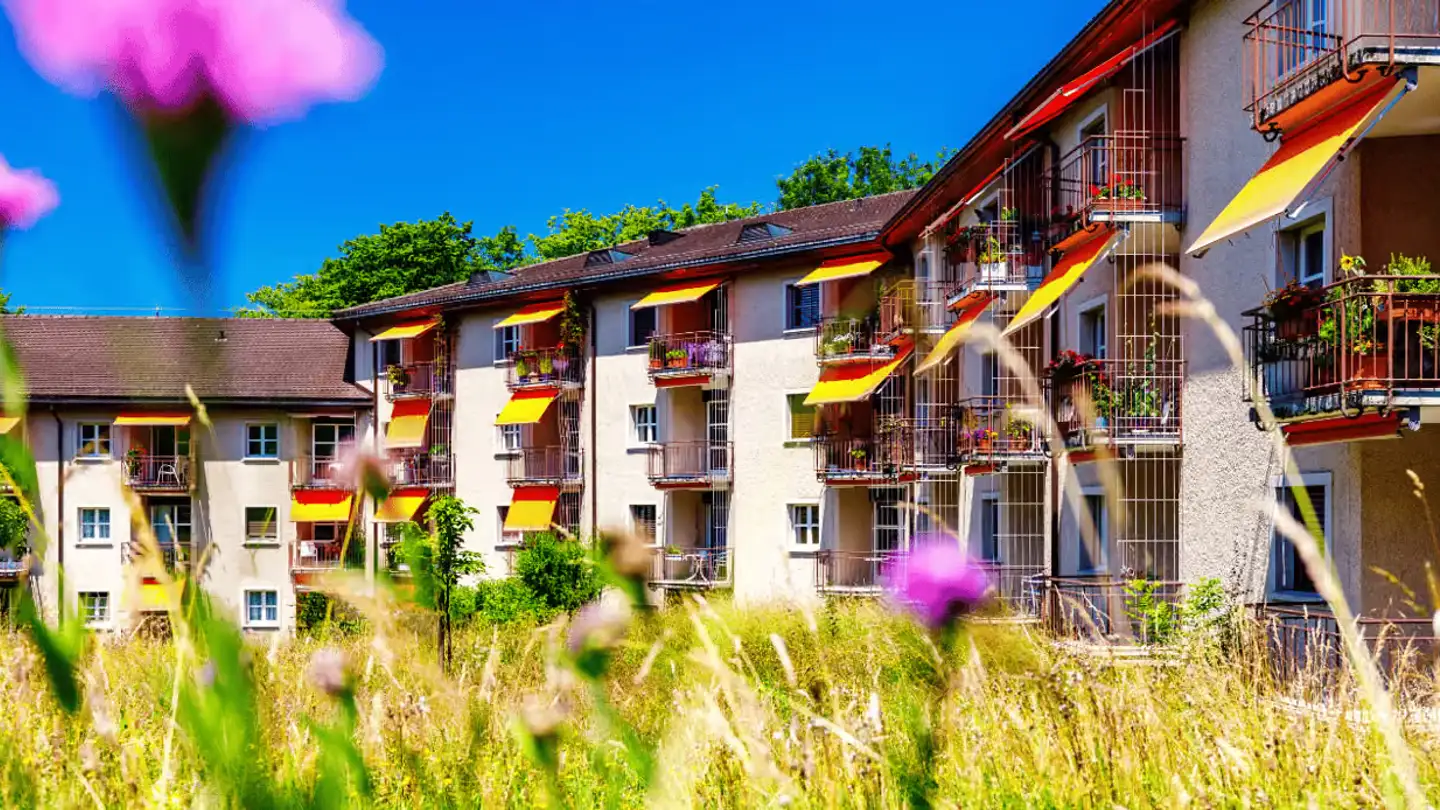 Apartment for rent - Neuweg 14, 8125 Zollikerberg