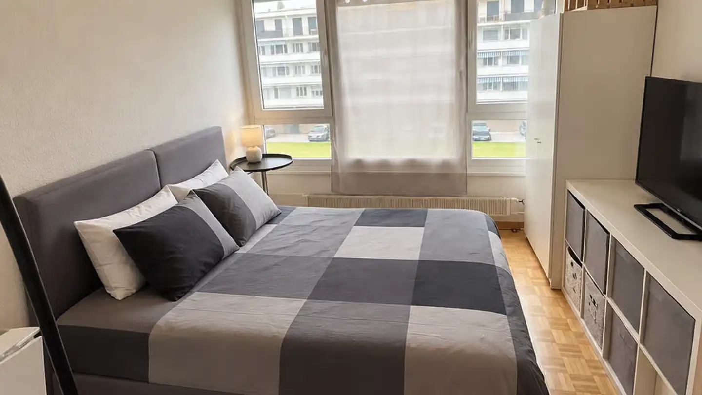 Appartamento in affitto - Route De Meyrin, 1217 Meyrin - Foto 3