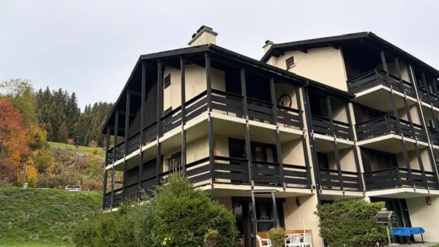 Apartment for sale - 1882 Gryon - Photo 4