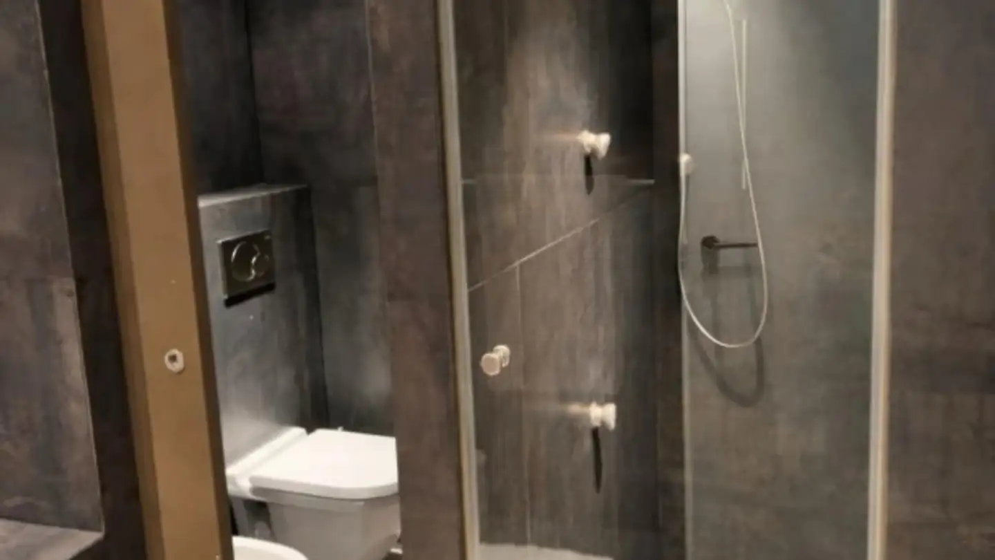 Appartamento in affitto - Route de Florissant, 1206 Genève - Foto 2