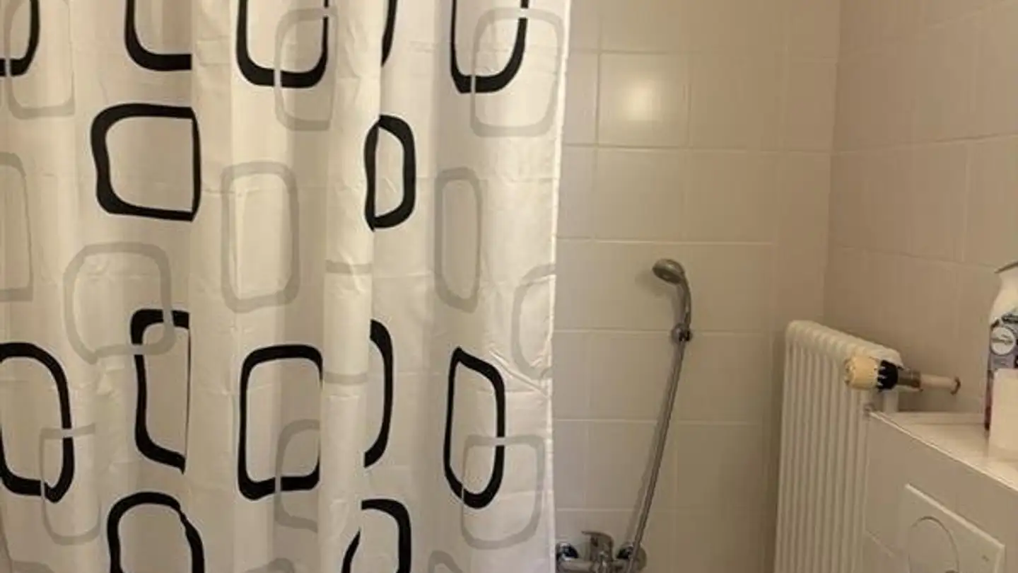 Attico in affitto - Avenue Wendt 3, 1203 Genève - Foto 3