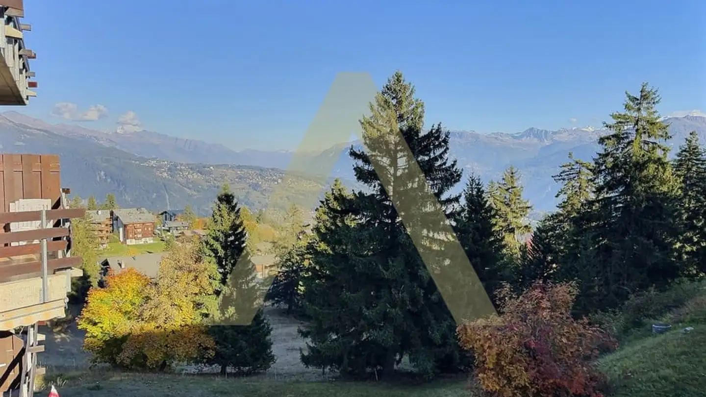 Commercial for sale - Route D'anzère, 1972 Anzère