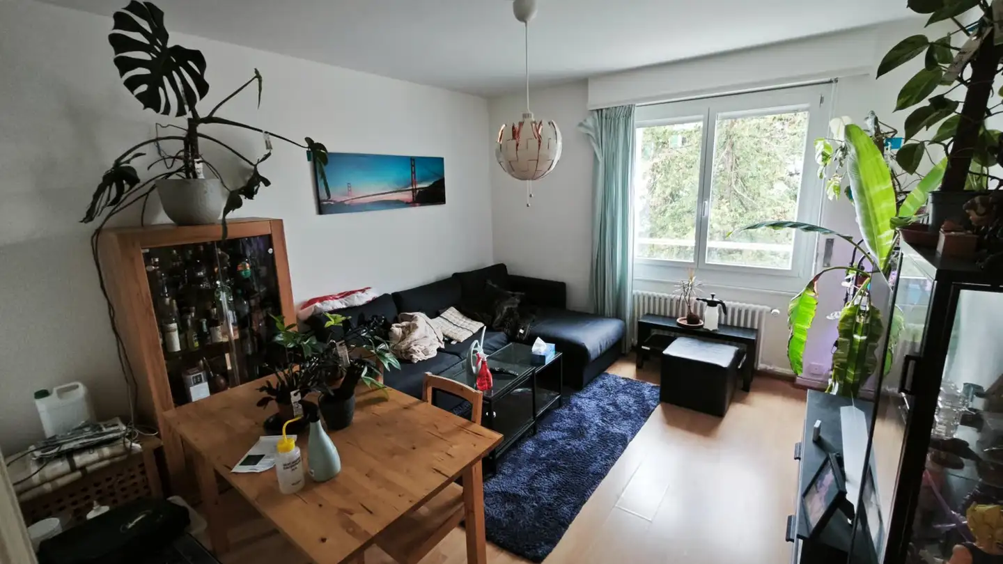 Appartamento in affitto - 1008 Jouxtens-Mézery