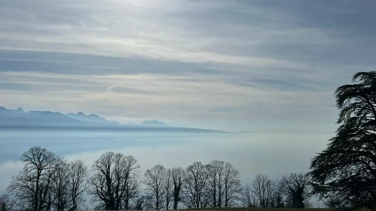 Apartment for rent - Chemin du Signal, 1070 Puidoux - Photo 4