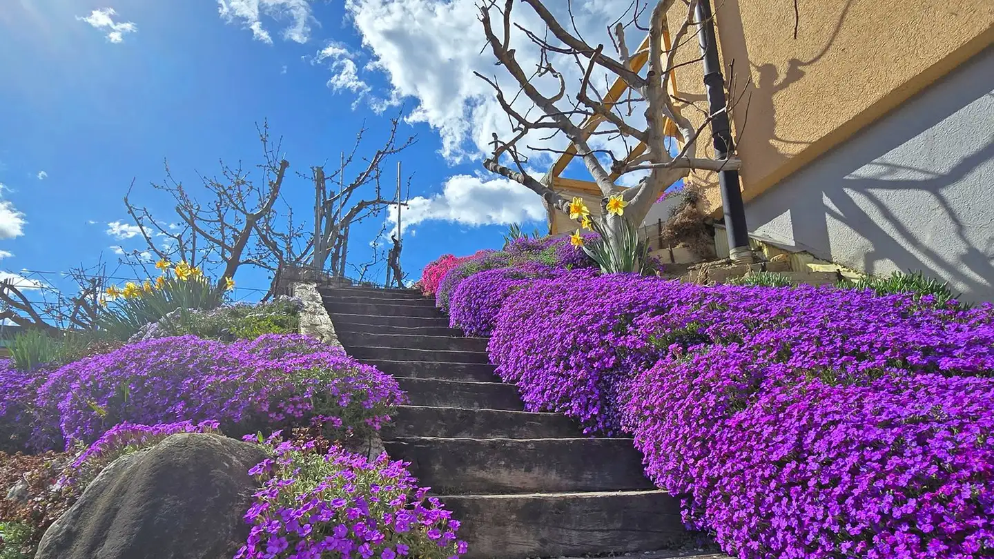 Einfamilienhaus kaufen - 1926 Fully